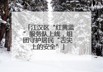 江汉区“红黄蓝”服务队上线，组团守护居民“舌尖上的安全”