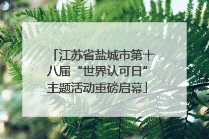 江苏省盐城市第十八届“世界认可日”主题活动重磅启幕