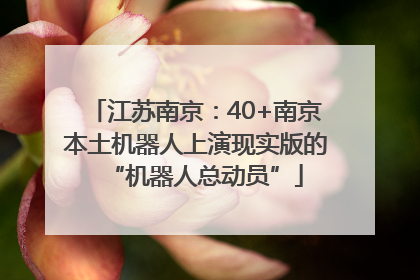 江苏南京：40+南京本土机器人上演现实版的“机器人总动员”