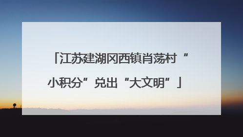 江苏建湖冈西镇肖荡村“小积分”兑出“大文明”