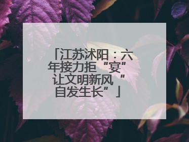 江苏沭阳：六年接力拒“宴” 让文明新风“自发生长”
