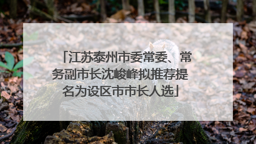 江苏泰州市委常委、常务副市长沈峻峰拟推荐提名为设区市市长人选