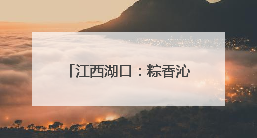 江西湖口：粽香沁 情满怀 “一顿饭的陪伴”暖人心