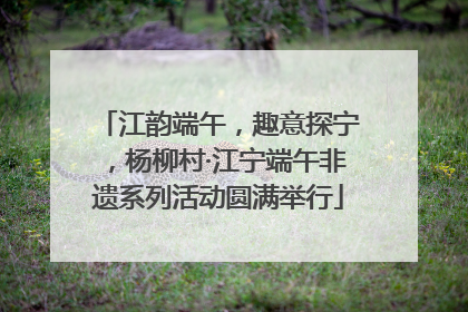 江韵端午，趣意探宁，杨柳村·江宁端午非遗系列活动圆满举行