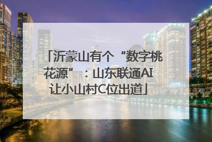 沂蒙山有个“数字桃花源”：山东联通AI让小山村C位出道