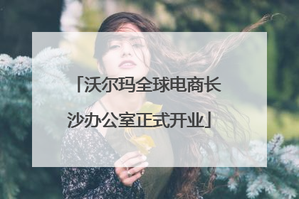 沃尔玛全球电商长沙办公室正式开业