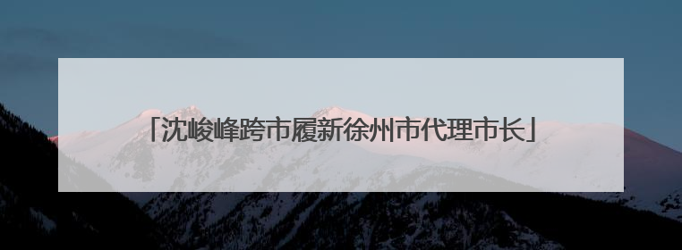 沈峻峰跨市履新徐州市代理市长