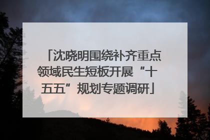 沈晓明围绕补齐重点领域民生短板开展“十五五”规划专题调研