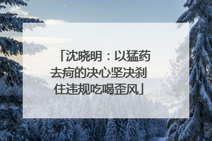 沈晓明：以猛药去疴的决心坚决刹住违规吃喝歪风