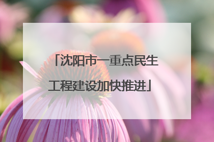 沈阳市一重点民生工程建设加快推进