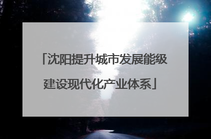 沈阳提升城市发展能级 建设现代化产业体系