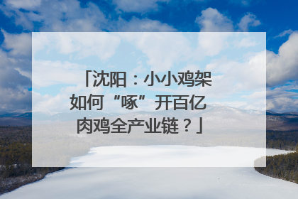 沈阳：小小鸡架如何“啄”开百亿肉鸡全产业链？