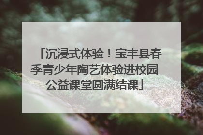 沉浸式体验！宝丰县春季青少年陶艺体验进校园公益课堂圆满结课