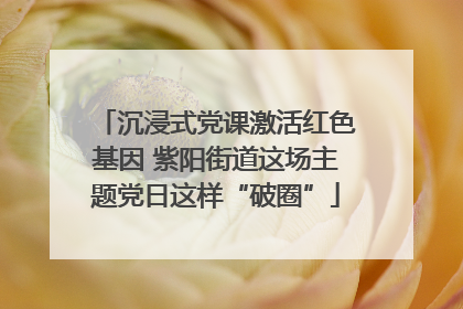 沉浸式党课激活红色基因 紫阳街道这场主题党日这样“破圈”