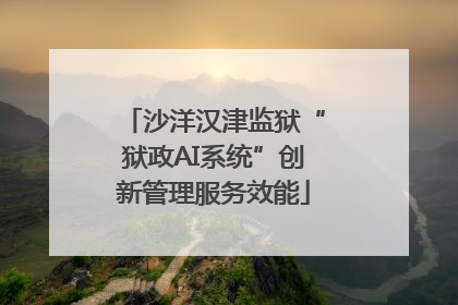 沙洋汉津监狱“狱政AI系统”创新管理服务效能