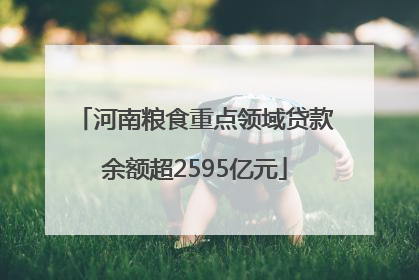 河南粮食重点领域贷款余额超2595亿元
