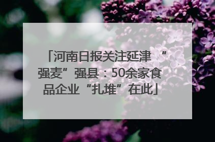 河南日报关注延津 “强麦”强县：50余家食品企业“扎堆”在此