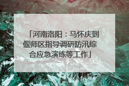 河南洛阳：马怀庆到偃师区指导调研防汛综合应急演练等工作