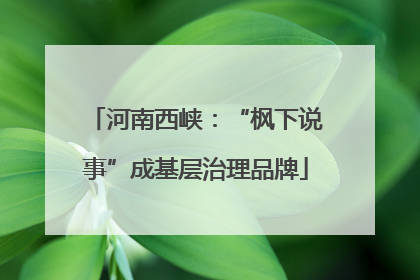 河南西峡：“枫下说事”成基层治理品牌