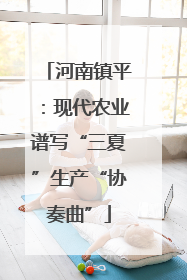 河南镇平：现代农业谱写“三夏”生产“协奏曲”