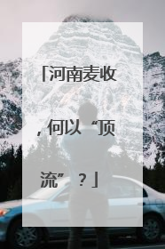 河南麦收，何以“顶流”？