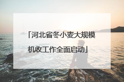 河北省冬小麦大规模机收工作全面启动