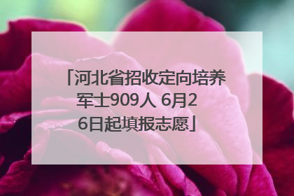 河北省招收定向培养军士909人 6月26日起填报志愿