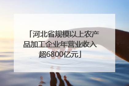 河北省规模以上农产品加工企业年营业收入超6800亿元