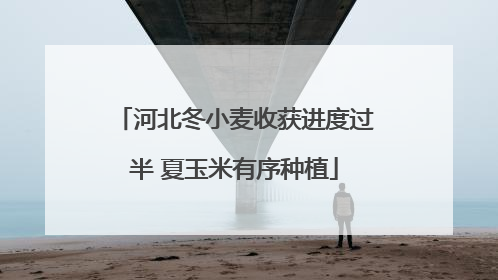 河北冬小麦收获进度过半 夏玉米有序种植