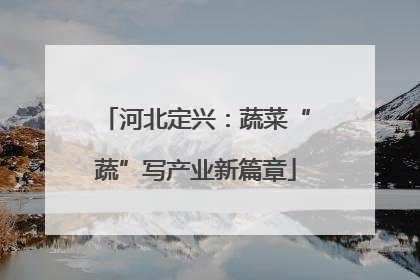 河北定兴：蔬菜“蔬”写产业新篇章