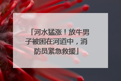河水猛涨！放牛男子被困在河道中，消防员紧急救援
