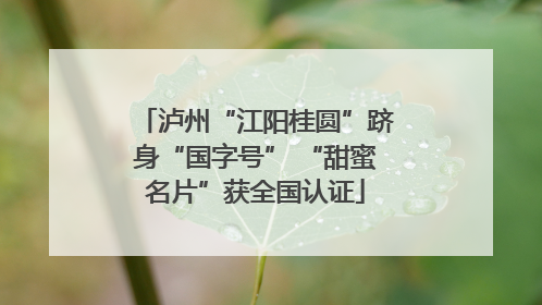 泸州“江阳桂圆”跻身“国字号” “甜蜜名片”获全国认证