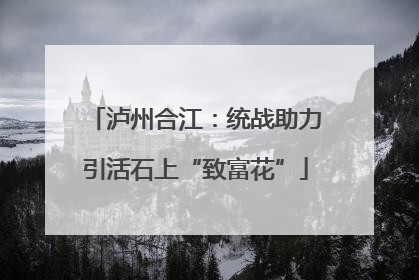 泸州合江：统战助力引活石上“致富花”