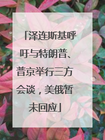 泽连斯基呼吁与特朗普、普京举行三方会谈，美俄暂未回应
