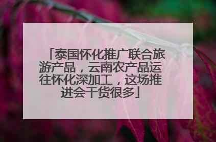 泰国怀化推广联合旅游产品，云南农产品运往怀化深加工，这场推进会干货很多