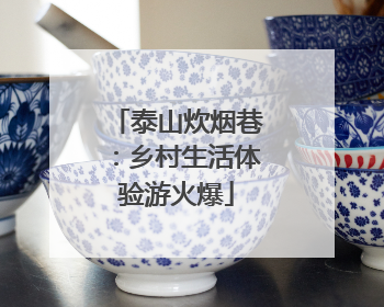 泰山炊烟巷：乡村生活体验游火爆