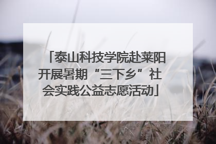 泰山科技学院赴莱阳开展暑期“三下乡”社会实践公益志愿活动