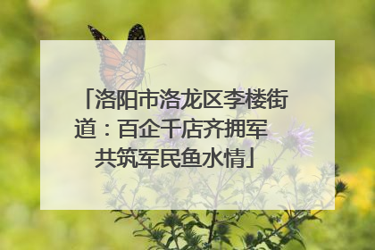 洛阳市洛龙区李楼街道：百企千店齐拥军 共筑军民鱼水情