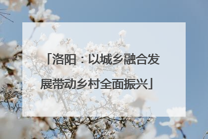 洛阳：以城乡融合发展带动乡村全面振兴