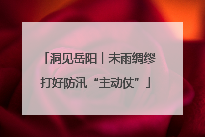 洞见岳阳丨未雨绸缪 打好防汛“主动仗”