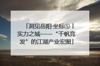 洞见岳阳·坐标⑤丨实力之城——“千帆竞发”的江湖产业宏图