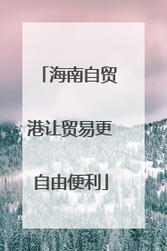 海南自贸港让贸易更自由便利