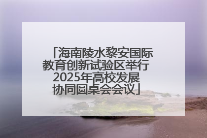 海南陵水黎安国际教育创新试验区举行2025年高校发展协同圆桌会会议