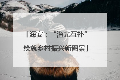 海安：“渔光互补” 绘就乡村振兴新图景