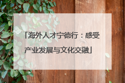 海外人才宁德行：感受产业发展与文化交融