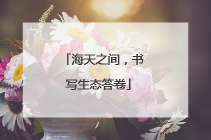 海天之间，书写生态答卷