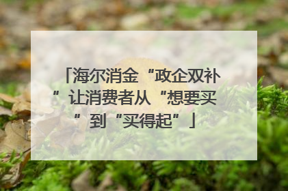 海尔消金“政企双补”让消费者从“想要买”到“买得起”