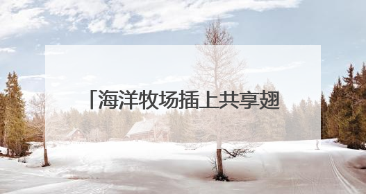 海洋牧场插上共享翅膀，老尹家海参认养“一亩海”累计合作近200企业客户