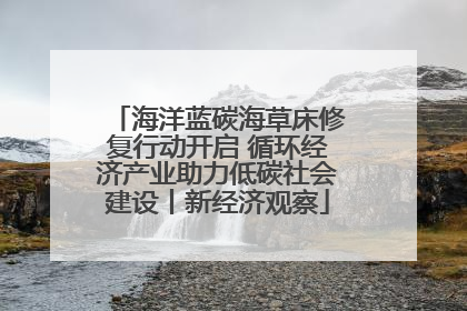 海洋蓝碳海草床修复行动开启 循环经济产业助力低碳社会建设丨新经济观察
