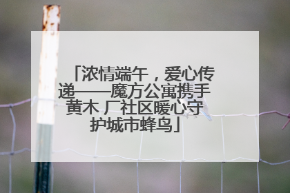 浓情端午，爱心传递——魔方公寓携手黄木 厂社区暖心守护城市蜂鸟